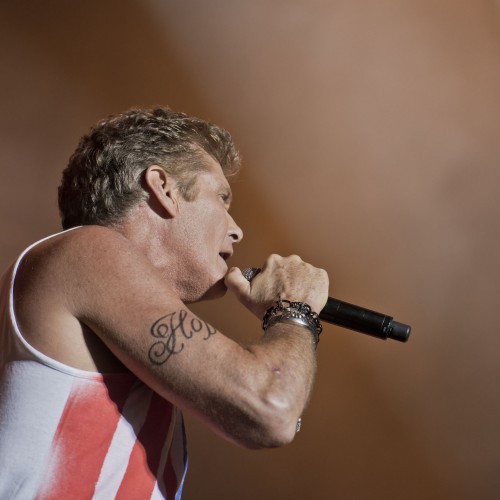 David Hasselhoff auf dem Nova Rock 2014