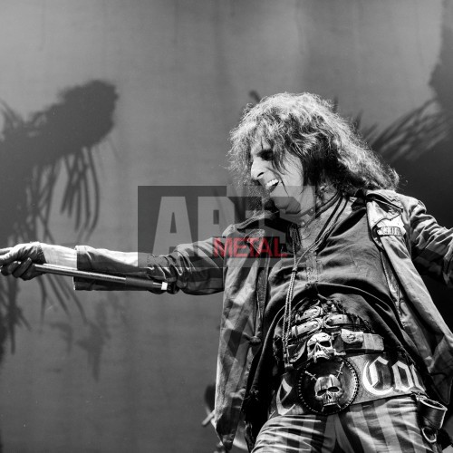 Alice Cooper as support act on the Final Tour 2015