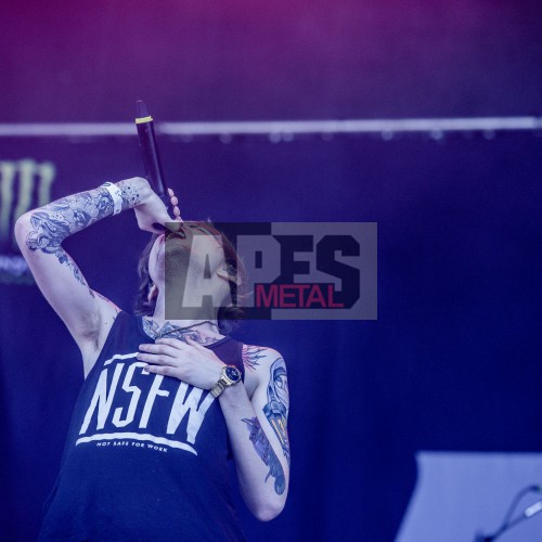 Asking Alexandria am Nova Rock 2015