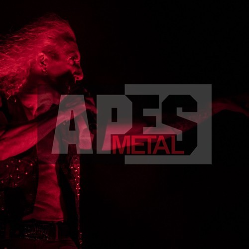 Twisted Sister at Wacken Open Air 2016