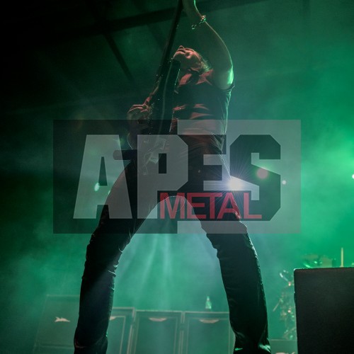 Alter Bridge in Hannover