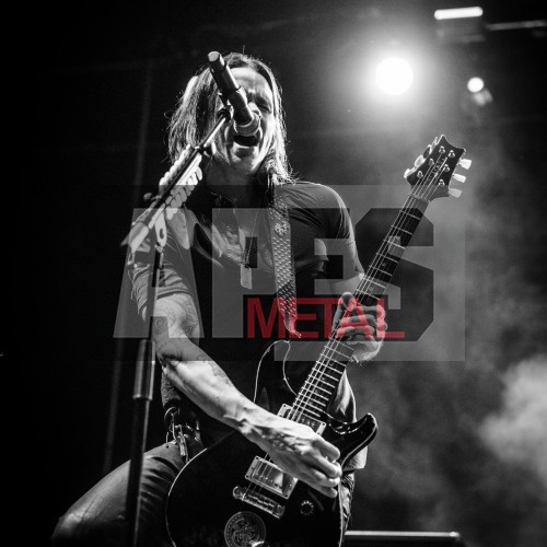 Alter Bridge in Hannover