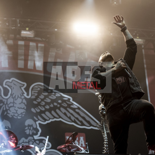 Five Finger Death Punch at Nova Rock 2017