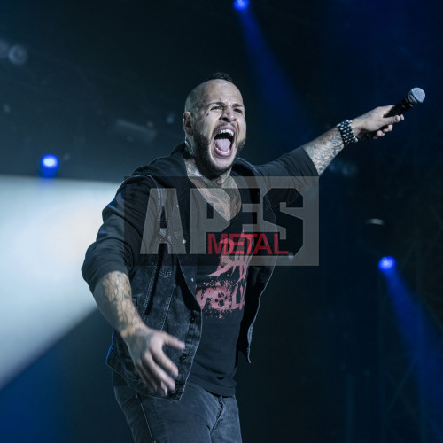 Five Finger Death Punch at Nova Rock 2017