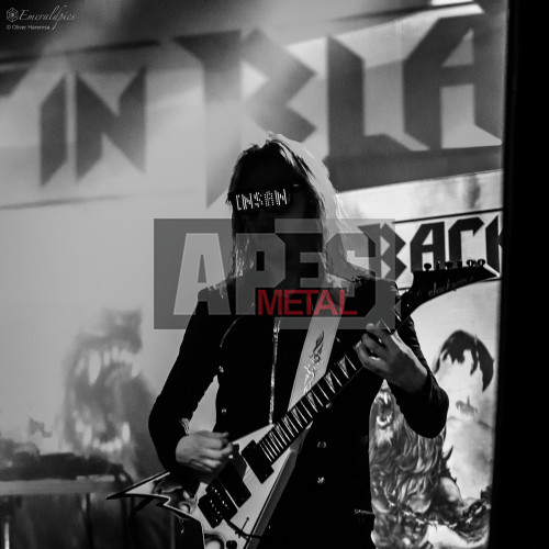 Beast in Black at MS Connexion in Mannheim