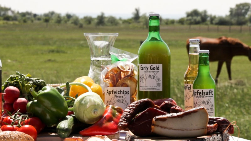 NOVA ROCK 2016: Late Night Act AUSTROFRED, neue Bands, Frühstücken wie ein Kaiser im WIENER CAFÉ